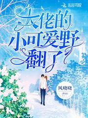 大佬的小可爱野翻了封面