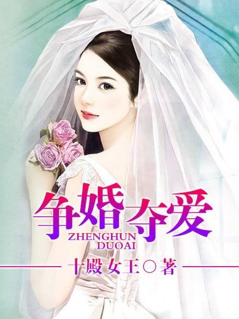 争婚夺爱封面