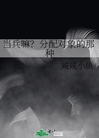 当兵嘛？分配对象的那种封面