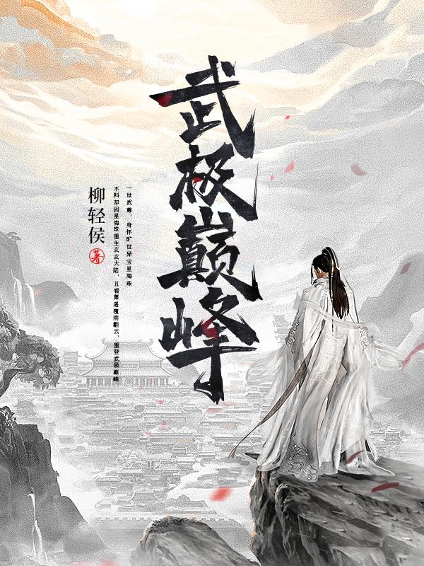 武极巅峰封面