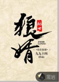 绝世狼婿封面