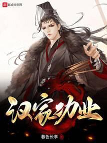 汉家功业封面
