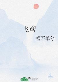 飞鸢封面