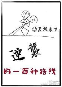 逆袭的一百种路线封面