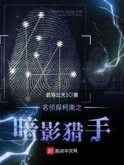 名侦探柯南之暗影猎手封面