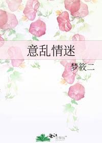 意乱情迷封面