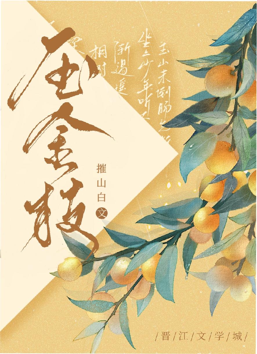 压金枝封面