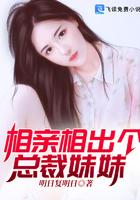 我和双胞胎老婆苏伟峰封面