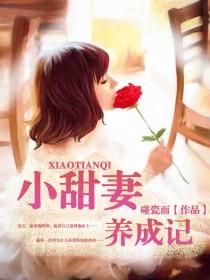 小甜妻养成记封面