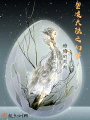 碧凌大陆之幻梦封面