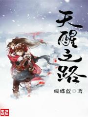 天醒之路秦桑封面