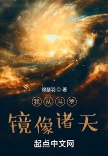 我从斗罗镜像诸天封面