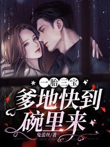 一胎三宝，爹地快到碗裏来封面