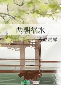 两朝祸水封面