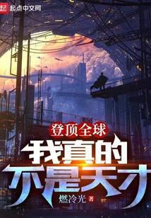 登顶全球：我真的不是天才封面