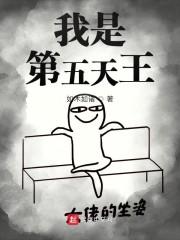 我是第五天王封面