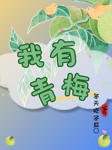 我有青梅封面