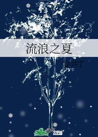 流浪之夏封面