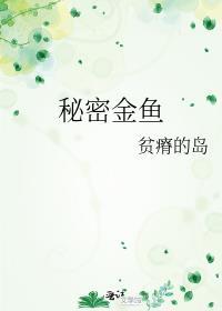 秘密金鱼封面