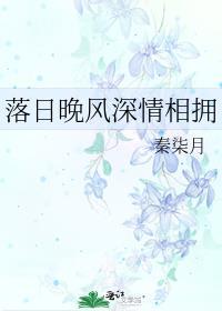 落日晚风深情相拥封面