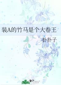 装A的竹马是个大卷王封面