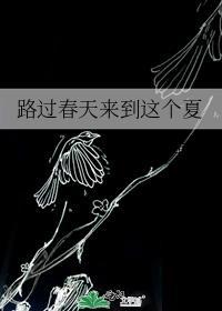 路过春天来到这个夏封面