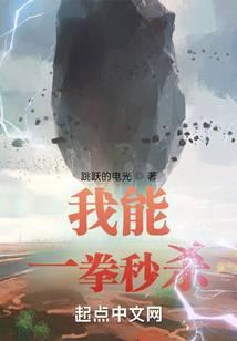 我能一拳秒杀封面