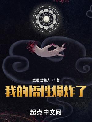 我的悟性爆炸了封面