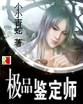 极品鉴定师封面