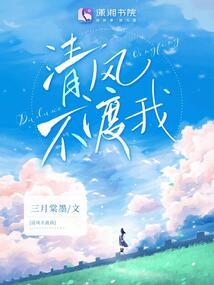 清风不渡我封面