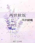两世软饭封面