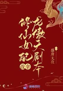 昭仙辞封面