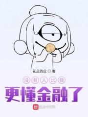 没有人比我更懂金融了封面