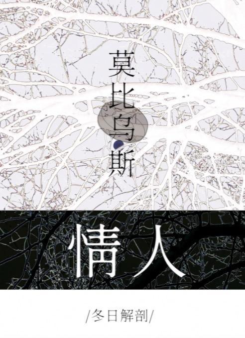 莫比乌斯情人封面