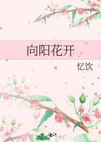 向阳花开封面