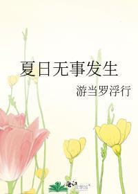 夏日无事发生封面