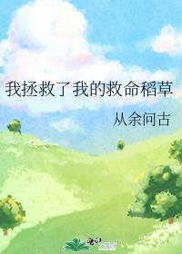 我拯救了我的救命稻草封面