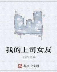 我的上司女友封面