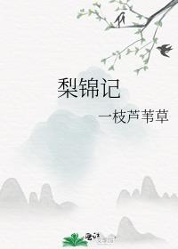 梨锦记封面
