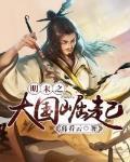明末之大国崛起封面