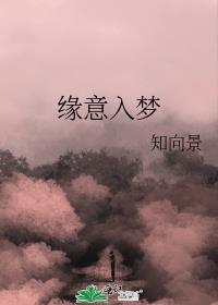 缘意入梦封面