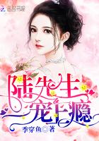 陆先生，一宠上瘾封面