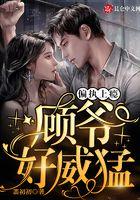 二胎五宝：顾爷，好威猛！封面