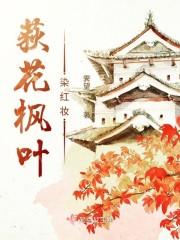 荻花枫叶染红妆封面