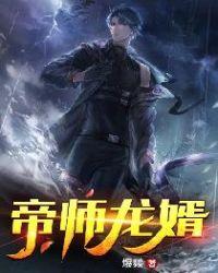 帝师龙婿封面