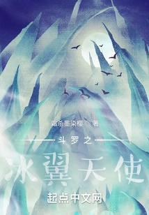 斗罗之冰翼天使封面