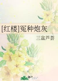 [红楼]冤种炮灰封面