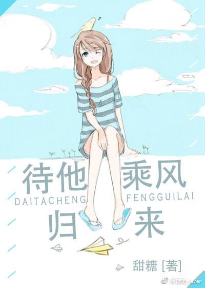 待他乘风归来封面
