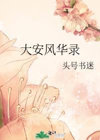 大安风华录封面