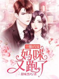 一胎六宝：妈咪又跑了封面